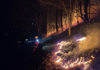 경북 의성 산불 진화율 95%…“경남·경북서 주불 진화 총력전”