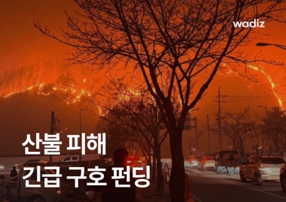 '괴물산불 재발 막아라'…입법조사처 "산불 대응 전면개편 해야"