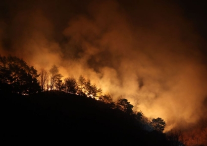 국힘 산불특위, '피해구제·지원 특별법' 발의…"일상 회복에 온 힘"