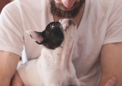 '털 달린 아기' 애칭에 중산층도 반했다…14억 인도서 폭발하는 산업