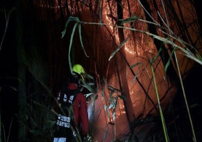 높은 고도에 낙엽까지…지리산 주불 진화 지연