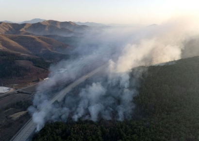 '괴물산불' 사망 30명·부상 43명…피해규모 여의도 166배