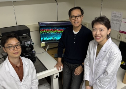 “손상된 시력 회복 가능” KAIST, 망막 ‘치료법’ 개발