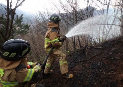 길도 없고 불타는 소나무까지… '三不' 바꿔야 산불 막는다