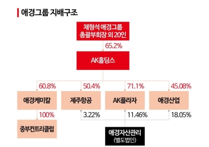 [Why&Next]지금이 적기?…애경그룹, 모태사업 매각 속사정  