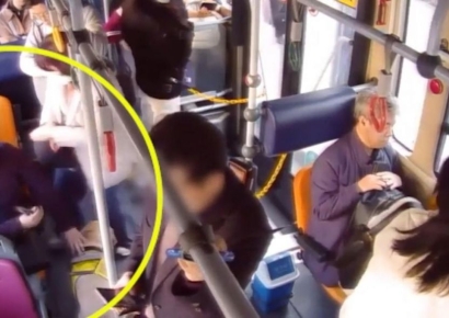 "양보 부탁합니다"…안내견 데리고 버스 오르자 기사가 한 일