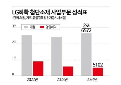 구조조정 칼 뽑은 LG… 다음은 석유화학·디스플레이