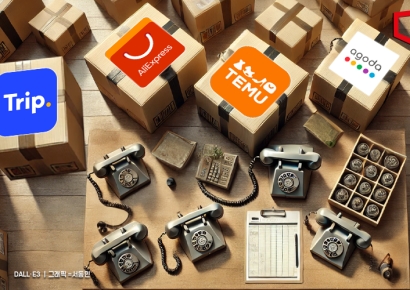 "알리·테무, 아고다·트립닷컴…해외직구·항공권 피해상담 급증"