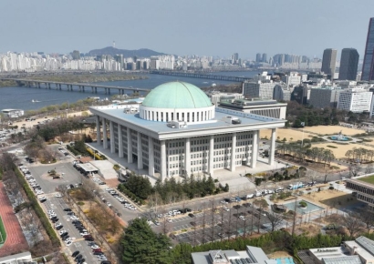 폭락장에도 정치테마주는 '급등'…조기대선 영향