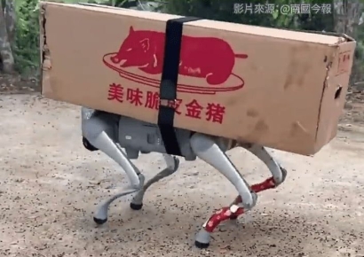 로봇개와 드론이 제사준비 '척척'…새로워진 中 청명절 성묘