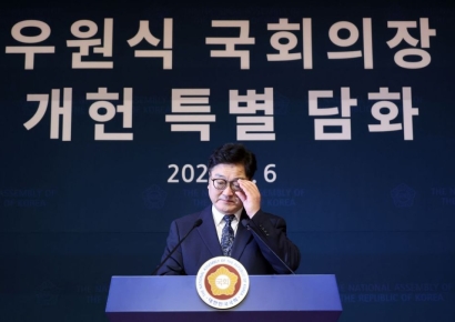 우의장, 韓대행 헌법재판관 지명에 권한쟁의심판 청구