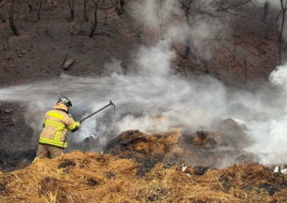 소화전도 가로등도 없는 시골길…산불 진화 소방관 '1박2일 분투기'