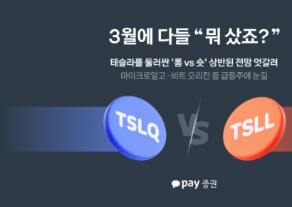 테슬라 숏 친 2030, 성장주 담은 4050