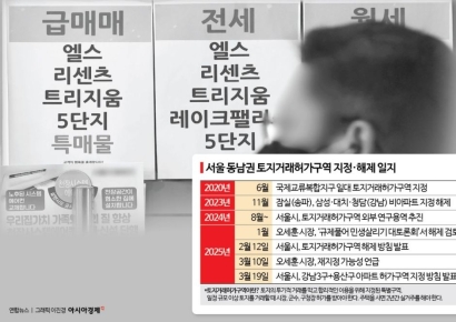 토지거래허가구역 입주권 실거주 의무 적용 시기 등 조만간 발표
