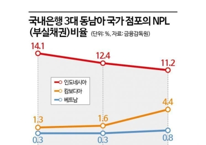 "동남아 진출 국내 은행 부실확대 가능성, 건전성 강화해야"