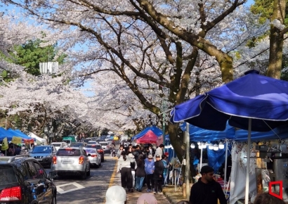 [단독]순대볶음 '2만5천원', "바가지 씌워야 남아"…'뒷돈' 요구 탓 주장
