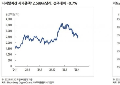 "가상자산, 트럼프 리스크로 가치 커질 것"