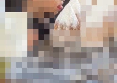 "노키즈존이 이해 간다"…유명 빵집 '혀 슬쩍' 어린이에 위생 논란