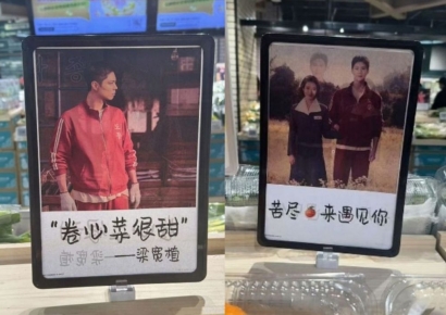 박보검·아이유 사진이 왜 여기에?…'폭싹' 불법시청하고 초상권 무단 사용한 中