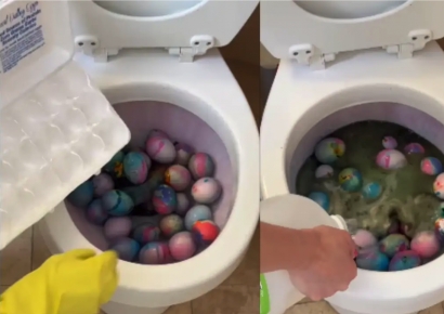 "이거 먹는 거였어요?"…변기에 부활절 달걀 넣고 염색한 美 여성