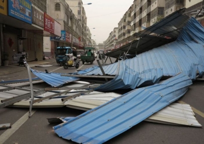 "쓰러진 나무만 1200그루" 10년 만의 강풍에 멈춰선 대중교통 재개한 中