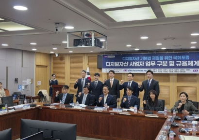 "가상자산 사업자 규정 한정적…분류 보완해야"