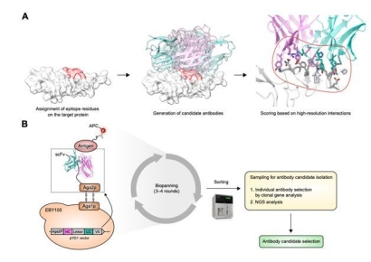 'AI 기반 단백질 구조 설계' 시장 급성장…신약 개발 패러다임 바꾼다