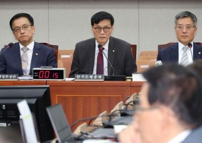 이창용 "경제부총리 탄핵소추되면 외국 부정적으로 볼것"