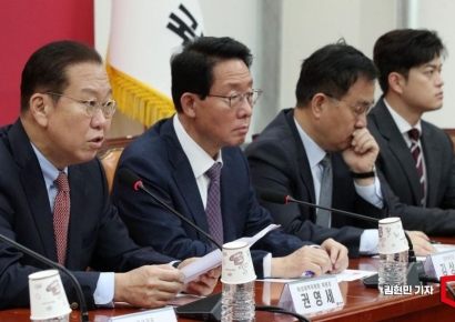 [포토] 권영세 "헌재, 고무줄 판결…권한대행의 정당한 임명권 막아"