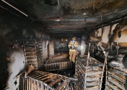 고양시 구산동 파충류 사육장 화재…도마뱀 900여 마리 폐사