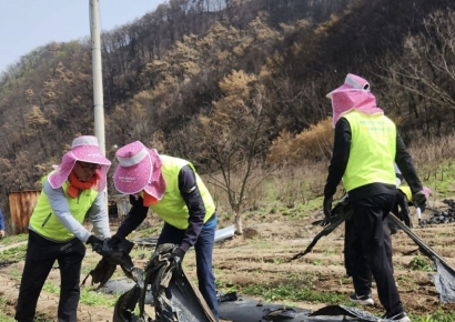 농협은행 준법감시부문, 경북 안동 찾아 산불피해 복구