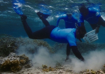 삼성전자, '산호초 복원 프로젝트'로 1년간 농구장 25배 면적의 산호초 복원