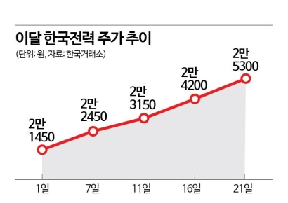 불확실한 장세 대안된 한국전력, 큰손 매수세 유입에 주가 '짜릿'