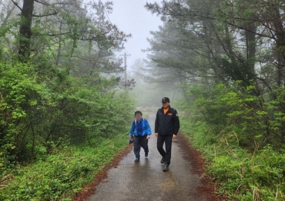 제주 고사리, 한참 꺾다 보면 "여기가 어디 사고 속출"