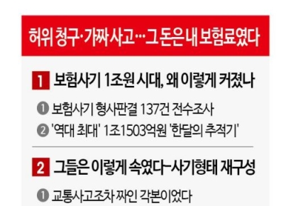 [단독]보험사기범 40%, 벌금형 그쳐…집유도 3분의 1