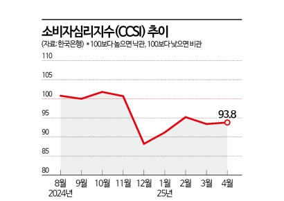 "4月, 계엄터널 지나니 관세터널"…소비심리 5개월째 '비관적'