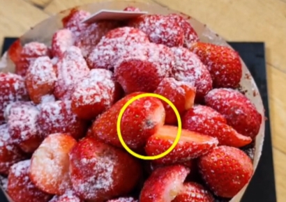 성심당 '딸기시루' 조기 마감 이유가…"딸기 곰팡이 피고 진물 나와"