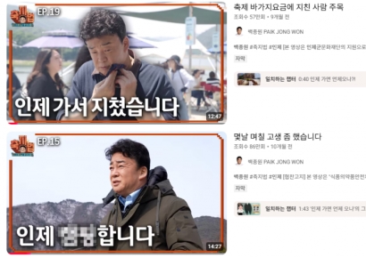"백종원 축제 홍보 유튜브 영상 2개에 5.5억원"…혈세 낭비 지적도