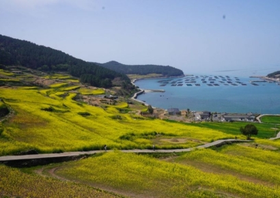 "이번 봄 '청산도 구들장 논' 보러 오세요"