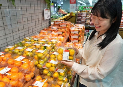 롯데마트, 올해 수확 서귀포 하우스 감귤 업계 첫 출시