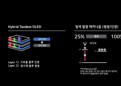 LG디스플레이, 청색 인광 적용한 OLED 패널 제품화 검증 세계 최초 성공
