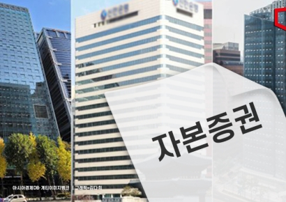 앞다퉈 자본증권 발행 늘리는 국내 금융사들, 적정성 문제 없나