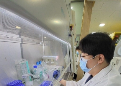 디와이디 협력사 코사바이오, 美특허 등록·정부 과제 선정…"글로벌 바이오 시장 본격 진출"
