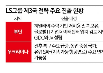 [단독]"두눈으로 美와 中보고 고개돌려 제3국을" LS의 글로벌 전략