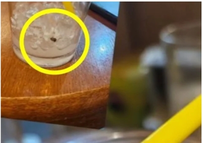 프랜차이즈 커피에서 벌레 나왔는데…"3900원 입금이 전부였다" 주장한 고객