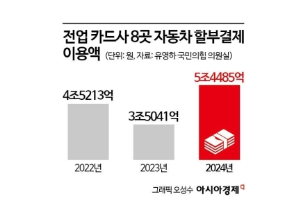 [단독]작년 카드사 車할부 5조 돌파…"DSR 규제 포함해야"