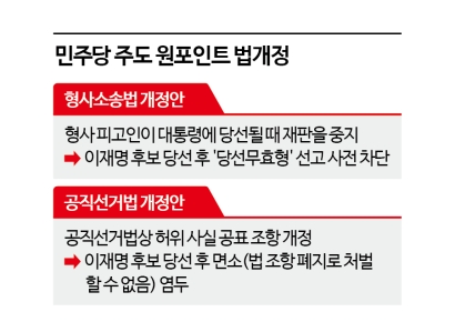 [뉴스인사이드]이재명 위한 원포인트 법개정 문제없나