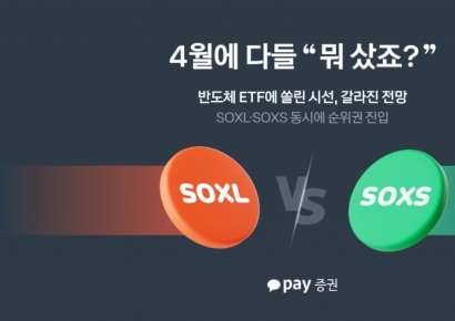"3배 뛴다 vs 빠진다"…서학개미, 반도체 ETF 두고 '동상이몽'