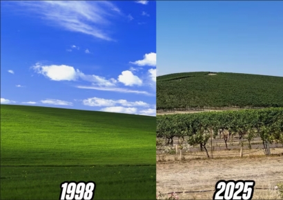 "여기가 맞나요?"…윈도우 바탕화면 촬영지 충격 근황