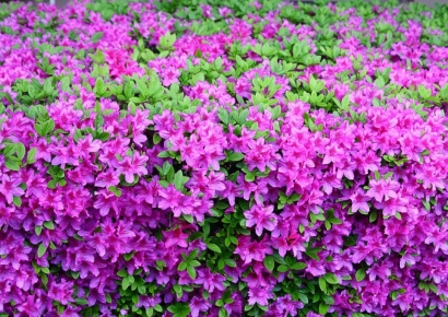 졸업사진 찍던 초등생들, 갑자기 복통 호소하더니 병원행…무슨 일